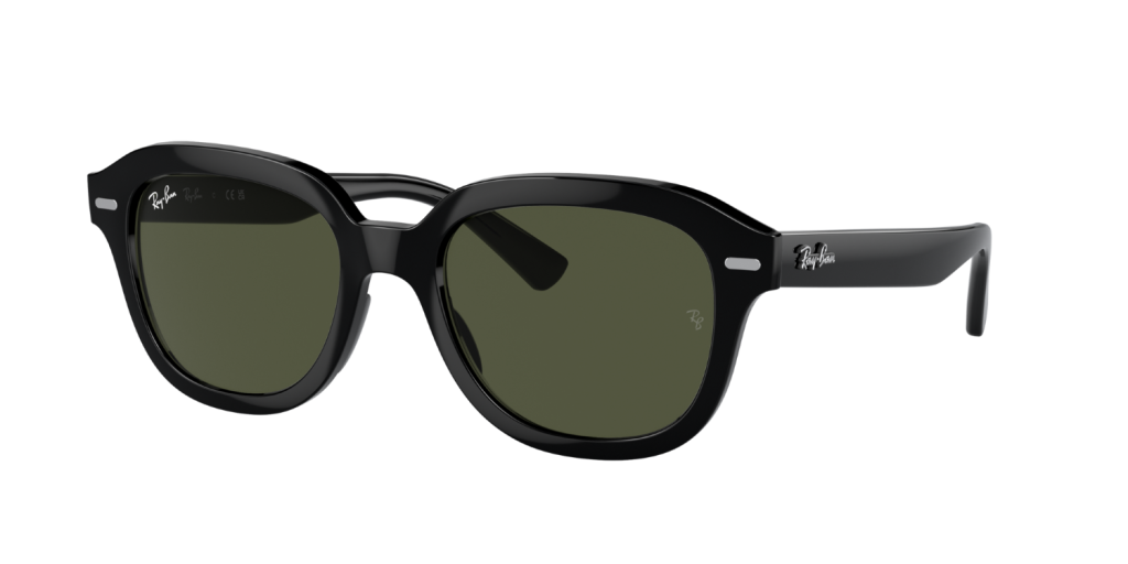 Ray-Ban Erik, Black, Green, Size 53 (XL)