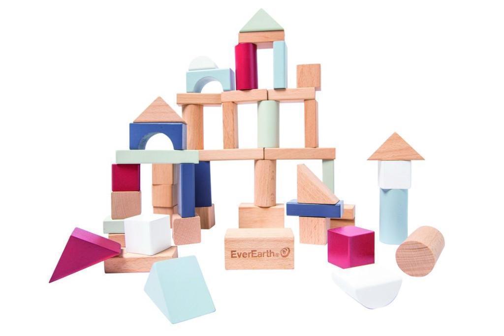 EverEarth 50pcs Lifestyle Building Blocks in a tub